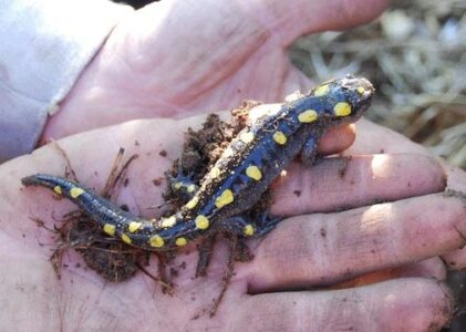 It’s All About Who You Compare Yourself To Image